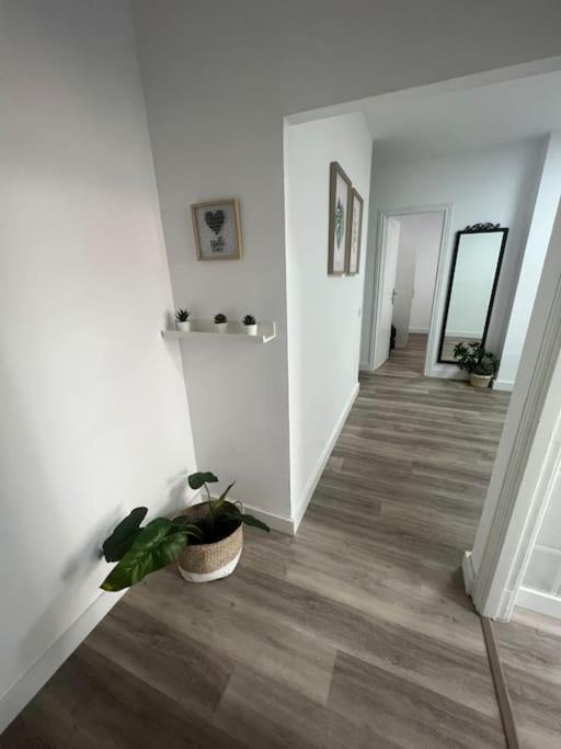 Piso Centrico En Las Palmas エクステリア 写真